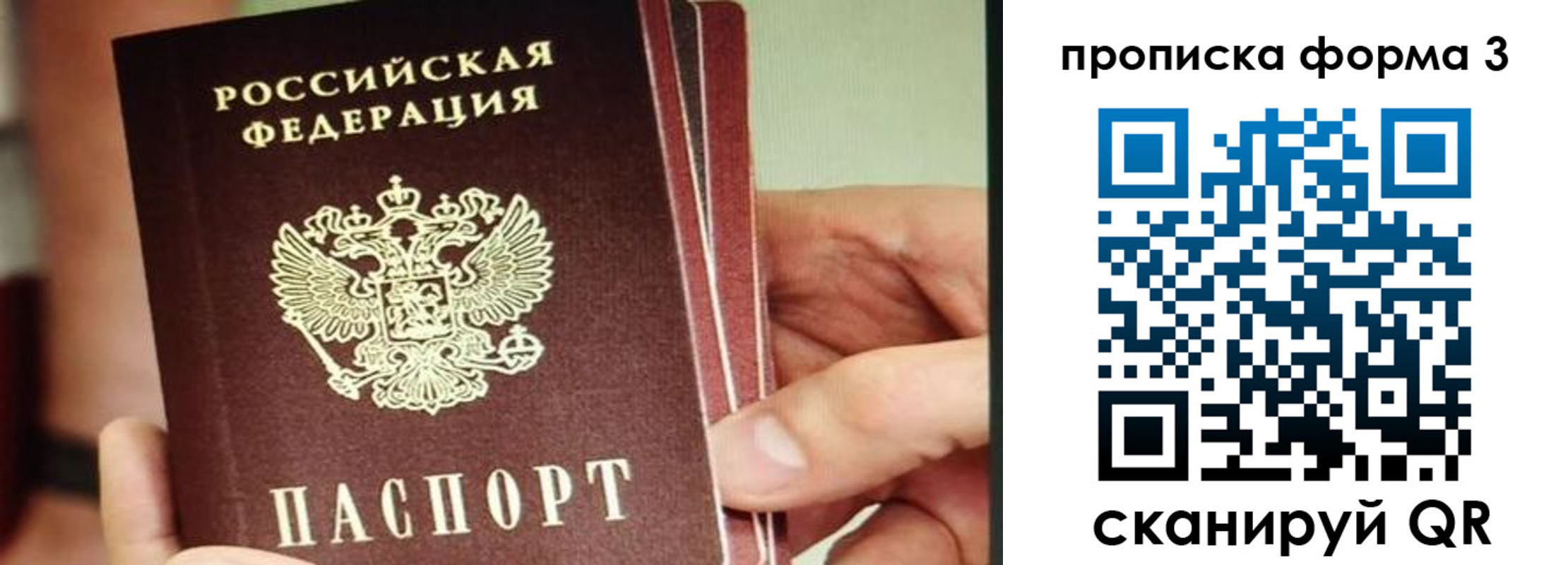 прописка законно в Углегорске